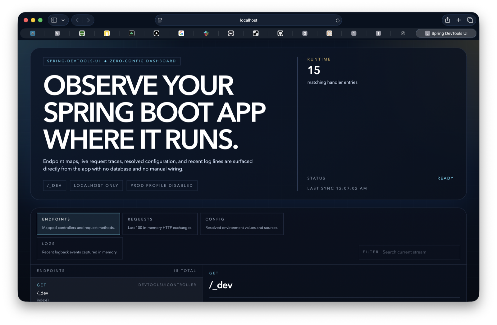 Falkenr runtime dashboard showing Spring Boot endpoints, requests, logs, and config